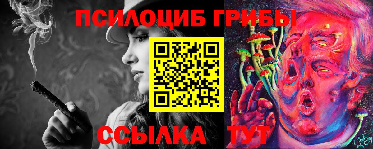 Галлюциногенные грибы Cubensis Рославль